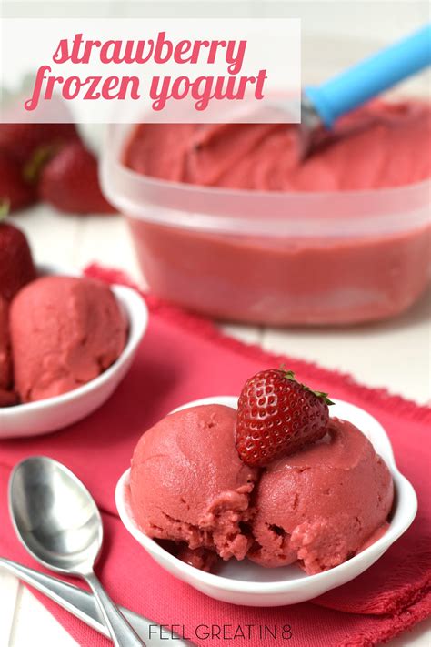 Homemade Frozen Yogurt Easy Homemade Frozen Yogurt Recipe