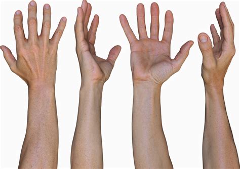 Hand 3D Models