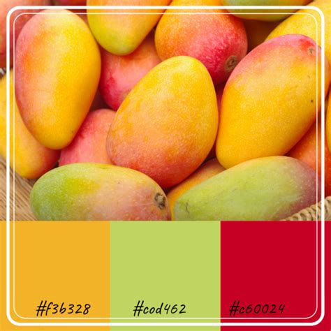 Color Combinations Inspired by Fruits - HubPages