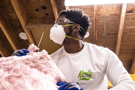 Palm Beaches - Koala Insulation