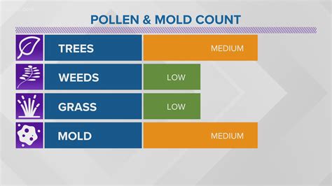 Allergies bugging you? Pollen levels are on the rise | wcnc.com
