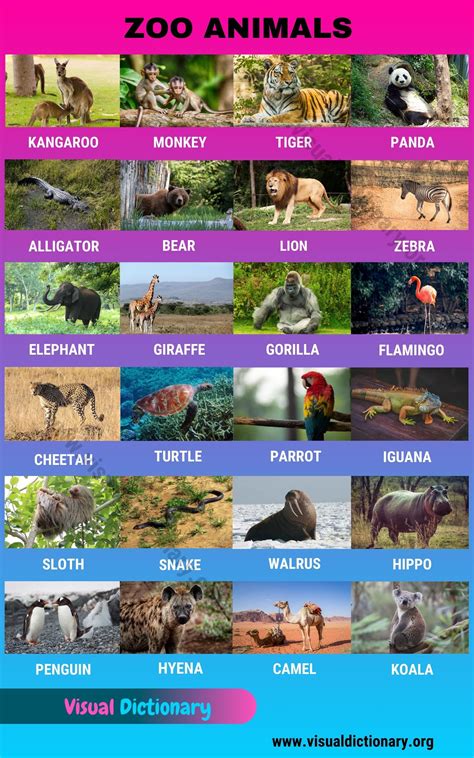 Zoo Animals: Wonderful List of 24 Animals that Live in the Zoo - Visual ...