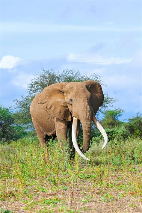 Pics+Of+Big+Tit+Redheads Photos, Download The BEST Free Pics+Of+Big+Tit ...