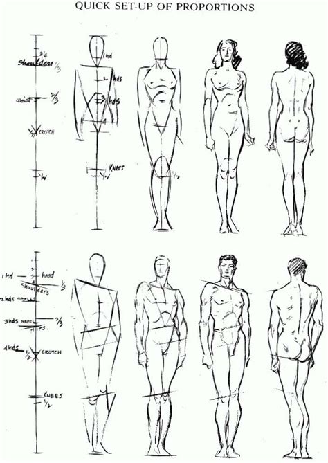 quick-setup-of-human-proportions Human Figure Sketches, Male Figure ...