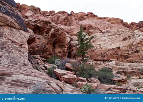 Calico Basin, Red Rock Conservation Area, Nevada USA Stock Photo ...