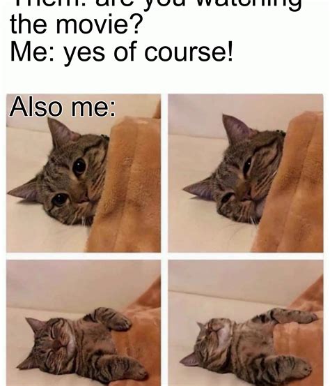 Funny Tired Cat Memes Cat Memes: 29 Cats Working Hard At Their Jobs