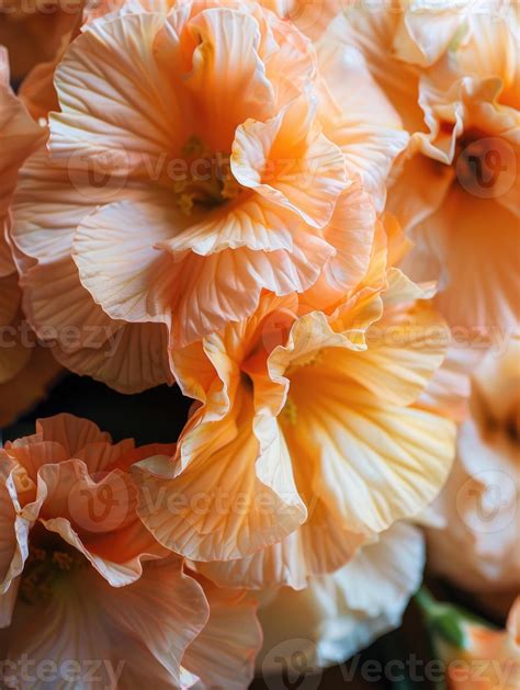 peach color flower bouquet arrangement, ai 45360863 Stock Photo at Vecteezy