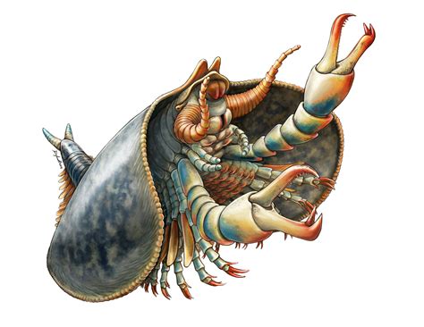 Home | Danielle Dufault