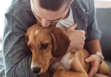 Handouts for Dealing with Grief | Broad Ripple Animal Clinic