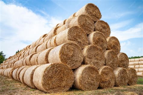 Premium Photo | Bales of hay hay bales are stacked on the field in ...