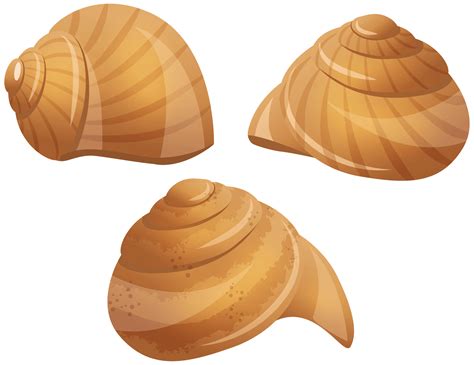 Snail shell clipart vector – Clipartix
