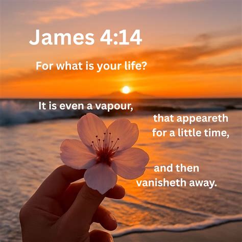 Held by Mercy: The Promise That Renews Each Morning - Biblical Life Lessons