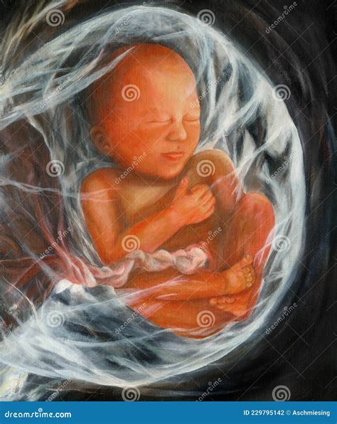 30 Week Old Baby in Womb, Waiting in the Wings Stock Photo - Image of ...