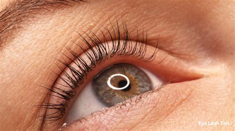 How Long Does Eyelash Tint Last? - Addlestone Therapy
