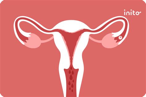 Heavy Bleeding During Ovulation: Is it Normal? - Inito