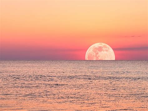 Full Moon Rising At Sunset