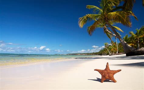 Ultra HD Beach Wallpapers - Top Free Ultra HD Beach Backgrounds - WallpaperAccess