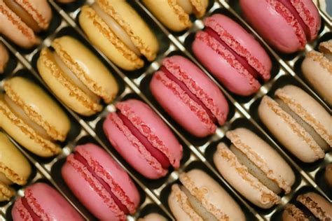 What Is the Best Almond Flour for Macarons?
