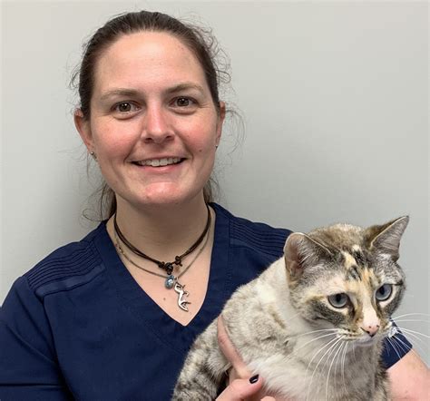 About Animal Hospital | Snellville, GA | Brookwood Animal Hospital