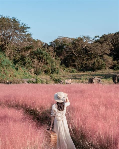 Top 14 jeju must visit attractions – Artofit