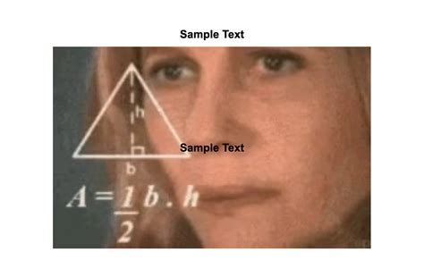 Confused Math Lady Animated Gif Maker - Piñata Farms - The best meme generator and meme maker ...