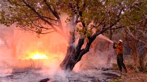 Dragon Bravo and White Sage wildfires scorch over 70,000 acres