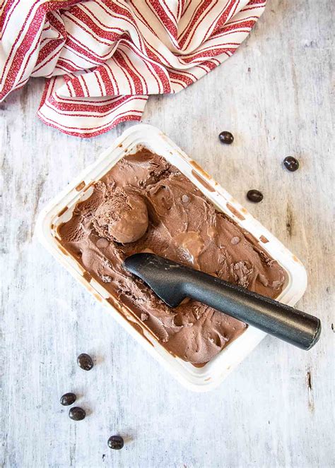 Homemade Chocolate Frozen Yogurt – Art of Natural Living