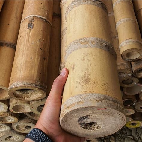 How To Separate Bamboo Poles : How to Build a DIY Bamboo Pergola with a ...