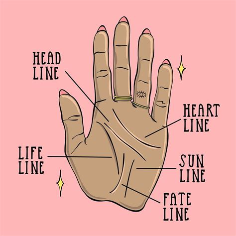 A Beginner's Guide to Reading Palms | Palm reading charts, Reading for ...