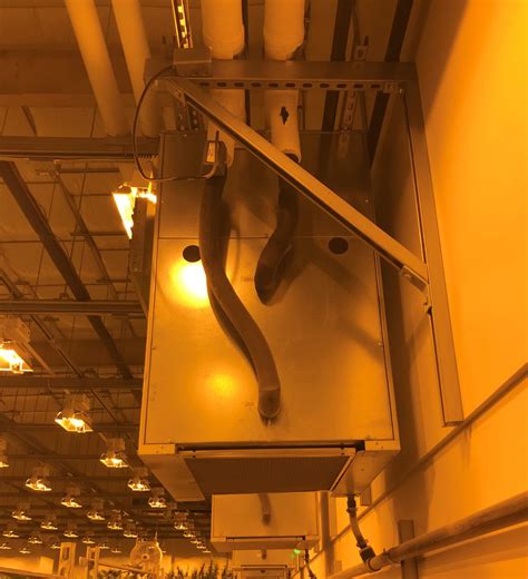 Marijuana Grow House and Dispensary - Wilson & Girgenti