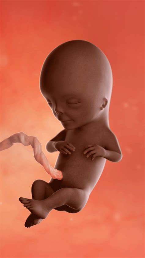 Overweight And 13 Weeks Pregnant