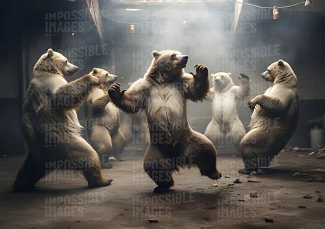 Dancing bears - Impossible Images - Unique stock images for commercial use.