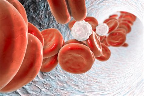 What is a Gran Blood Test?