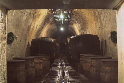 Mature+Fanny Photos, Download The BEST Free Mature+Fanny Stock Photos ...