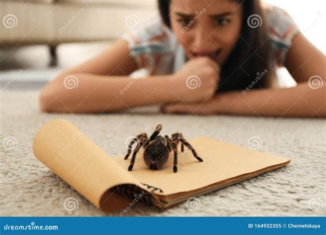 Young Woman and Tarantula. Arachnophobia Fear of Spiders Stock Image - Image of knee, arthropod ...