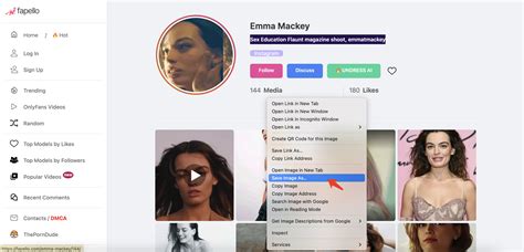 Comment télécharger toutes les images de Fapello ? - Imaget