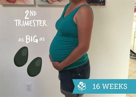 sixteen week pregnant - hiccups pregnancy