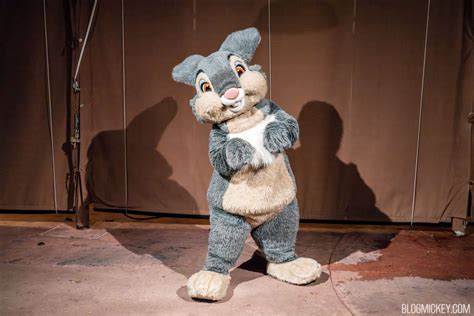 Full List of Characters & Meet and Greet Locations for Disney After ...