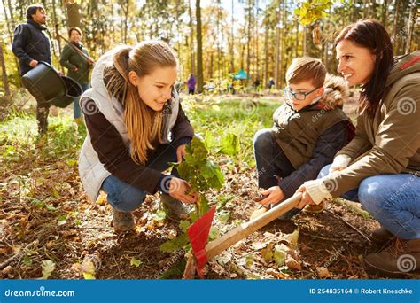 Mother and Children Planting a Tree Together in the Forest Stock Photo ...