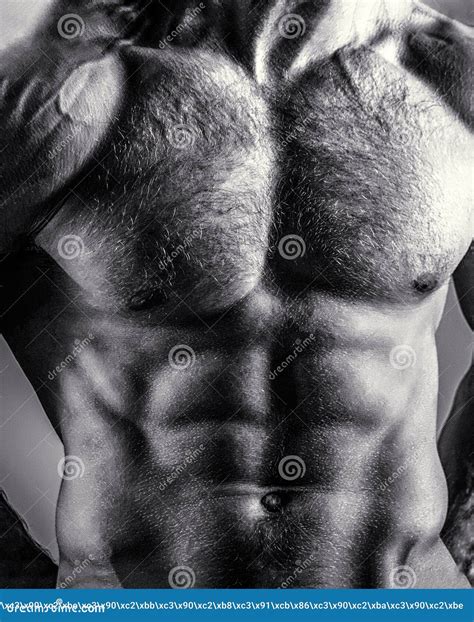 Guy with Beautiful Torso. Man, Athletic Caucasian. Ab, Six Pack ...