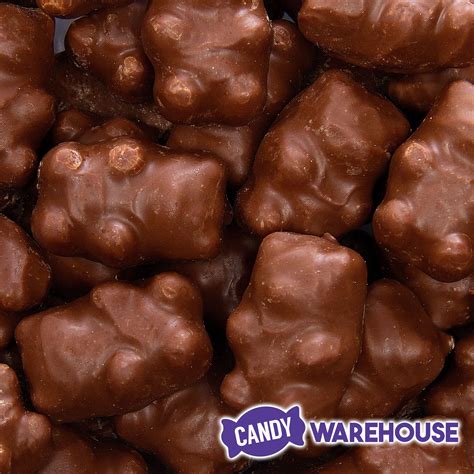 Chocolate Covered Cinnamon Bears: 13LB Case | Chocolate covered gummy ...