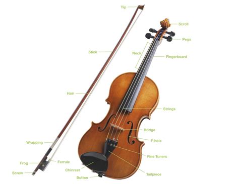 Violin Parts Diagram and Labeling Guide