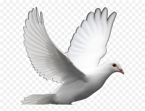 White Dove Peace Png - Doves Clipart Emoji,Dove Emoji Png - free ...