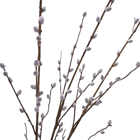 Amazon.com: Artificial Pussy Willow Branches 3Pcs Realistic 40inch ...