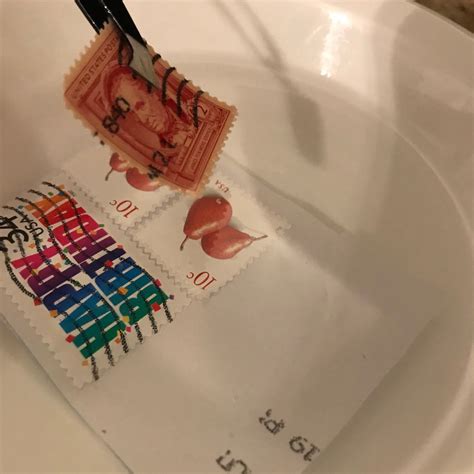 Remove A Stamp From An Envelope — ScouterLife