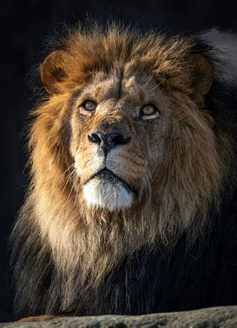 2,116,665+以上の無料女性 大股開き 画像画像