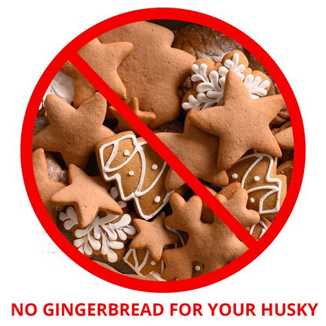 Can my husky eat nutmeg? - Husky Advisor - Nutmeg is toxic to dogs