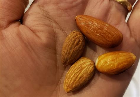 Calories In 1 Cup Soaked Almonds at Brenda Gilland blog
