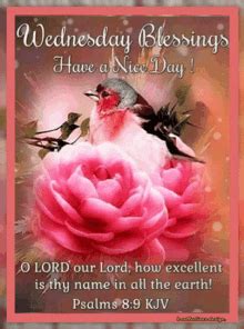 Happy Wednesday Good Morning Have A Lovely Day Wonderful Wednesday ...