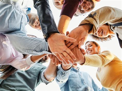 Causes of Bullying | Understanding the Roots of Behaviour